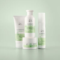 Shampooing régénérant pour cuirs chevelus normaux à gras Renewing Elements 250ml