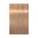 10-46 blond tr&egrave;s tr&egrave;s clair beige chocolat