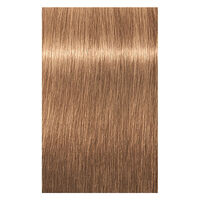 Coloration permanente Igora Royal 8-65 blond clair chocolat doré