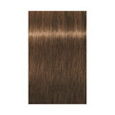 6-5 blond fonc&eacute; dor&eacute;