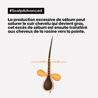 Routine anti-gras Scalp Advanced