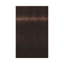 3-68 ch&acirc;tain fonc&eacute; chocolat rouge