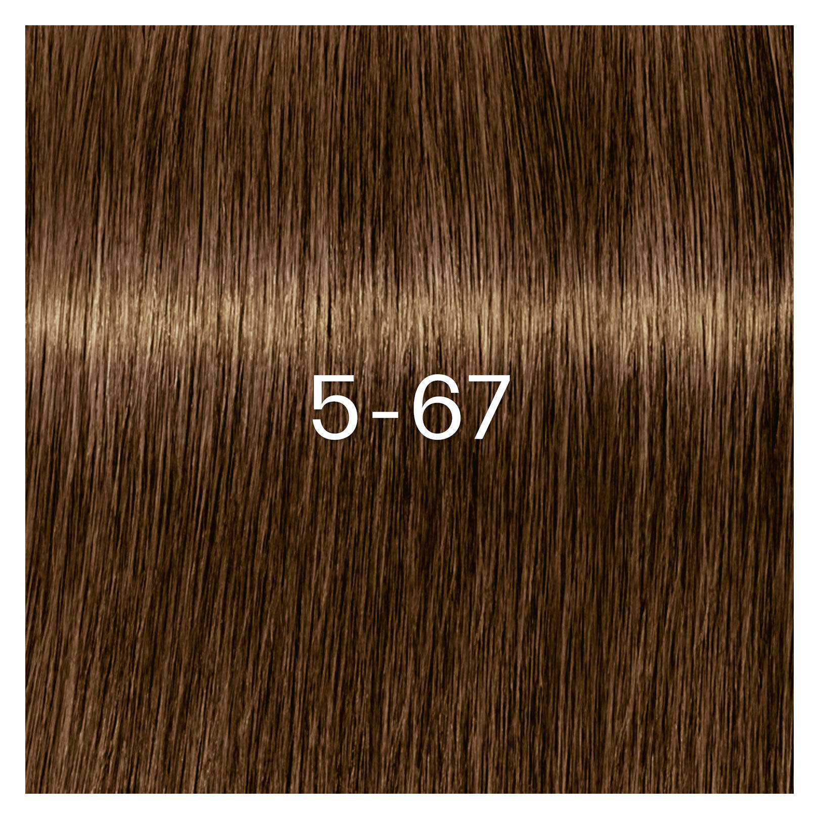 Coloration Igora Zero Amm 5-67 ch&acirc;tain clair chocolat cuivr&eacute;