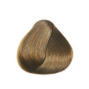 8.31 Blond Clair Doré Cendré