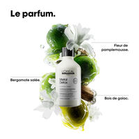 Rituel protecteur Metal Detox