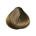 8.0 Blond Clair