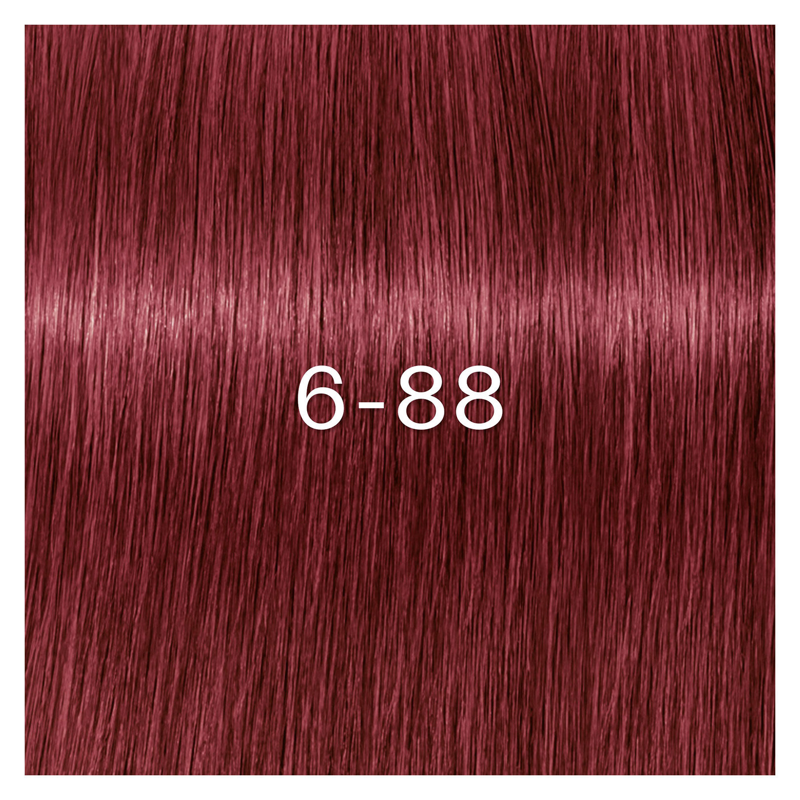Coloration Igora Zero Amm 6-88 blond fonc&eacute; rouge extra