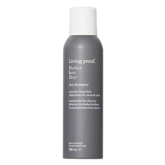 Shampooing sec Perfect Hair Day