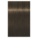 5-4 ch&acirc;tain clair beige