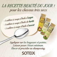Rituel longueurs et pointes s&egrave;ches