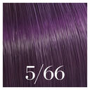 5/66 ch&acirc;tain violine intense