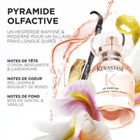 Le Parfum Gloss Absolu