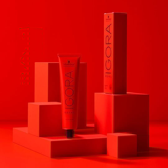 Coloration permanente Igora Royal 7-55 blond doré extra