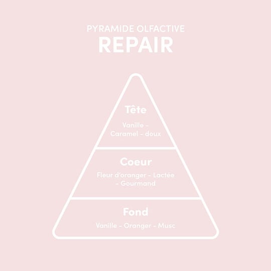 Spray thermo-protecteur Repair Thermo