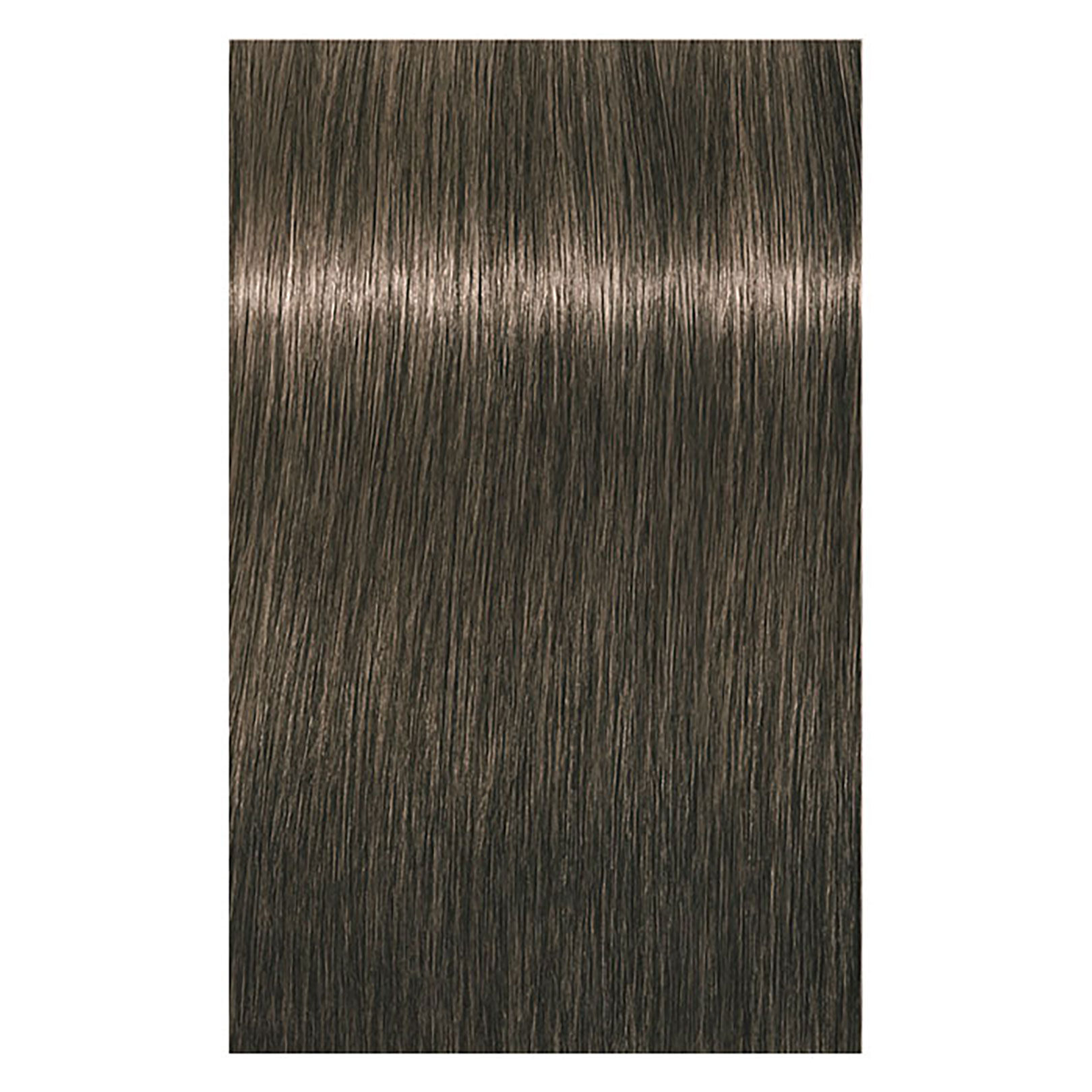 Coloration permanente Igora Royal 6-1 blond fonc&eacute; cendr&eacute;
