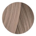 10.1 blond platine cendr&eacute;