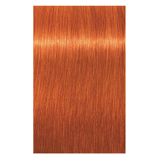 Coloration permanente Igora Royal 8-77 blond clair cuivré extra