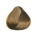 8.73 Blond clair Marron Doré