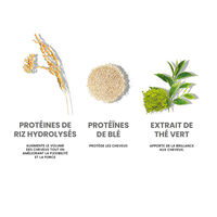 Shampooing nourrissant Repair My Hair