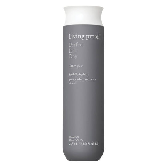 Shampooing Perfect Hair Day