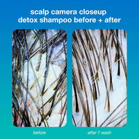 Shampooing d&eacute;toxifiant Peptide Prep