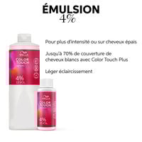 Emulsion color touch 4% / 13 vol 1000 ml
