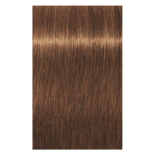 Coloration permanente Igora Royal 7-55 blond doré extra
