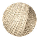 10.01 blond tr&egrave;s tr&egrave;s clair naturel cendr&eacute;