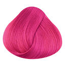 Carnation Pink