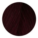 4.6 ch&acirc;tain rouge