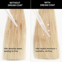 Spray prodigieux Dream Coat 200ml
