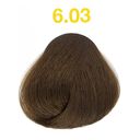 6.03 blond fonc&eacute; naturel dor&eacute;
