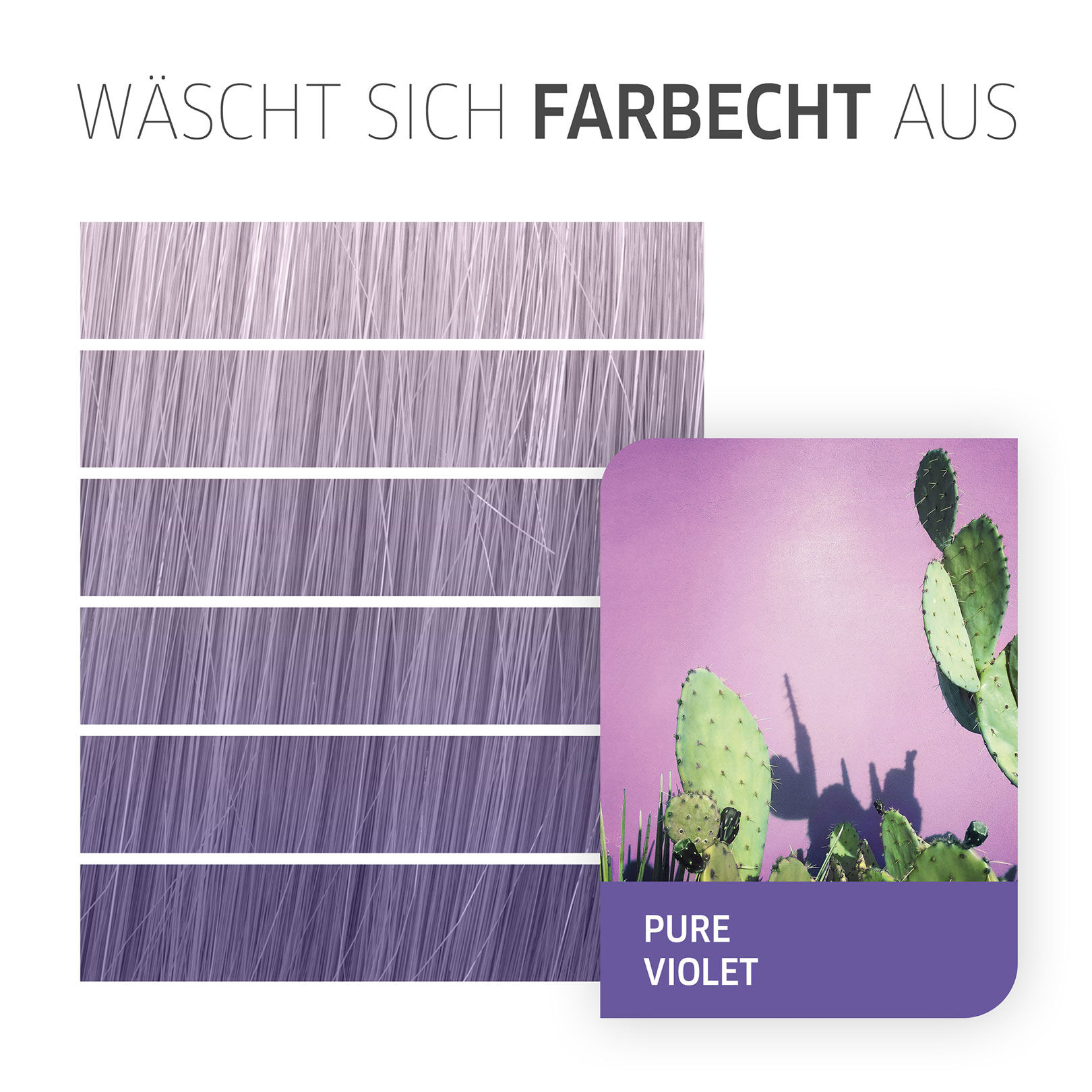 Coloration semi-permanente Color Fresh Create pure violet