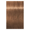 7-65 blond chocolat dor&eacute;