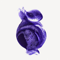 Shampooing neutralisant n°4P