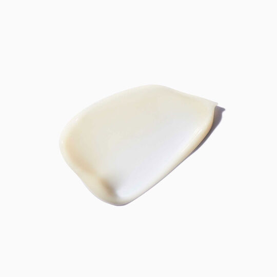 Fondant densit&eacute; Densifique