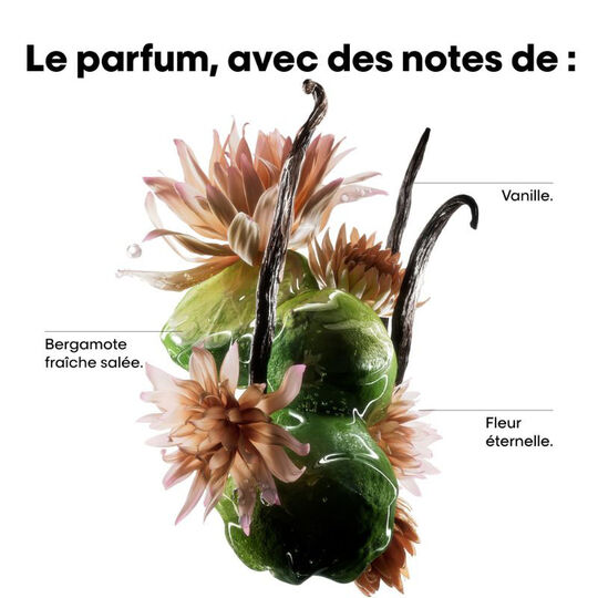 Masque professionnel concentré Absolut Repair Molecular 500ml