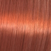 Coloration gloss Shinefinity 05/43 hot chili