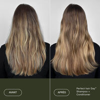 Apr&egrave;s-shampooing Perfect Hair Day