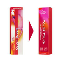 Coloration semi-permanente Color Touch 44/65 ch&acirc;tain intense violine acajou