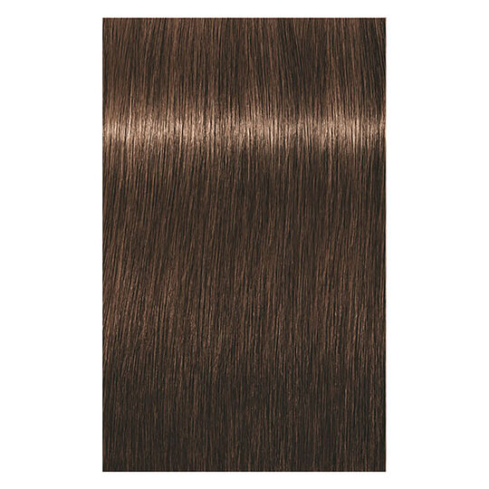 Coloration permanente Igora Royal 5-65 châtain clair chocolat doré