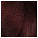 5.66 ch&acirc;tain clair rouge intense