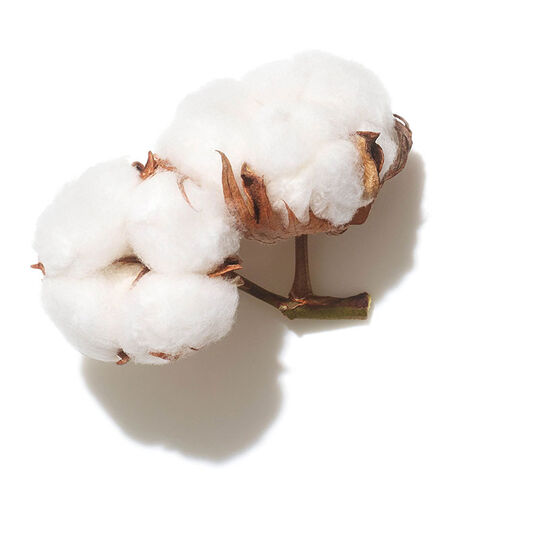 Shampooing volume Invigo Volume Boost 300ml