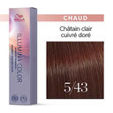 5/43 ch&acirc;tain clair cuivr&eacute; dor&eacute;