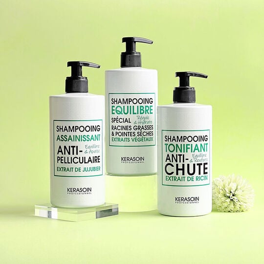 Shampooing &eacute;quilibre racines grasses pointes s&egrave;ches 500ml