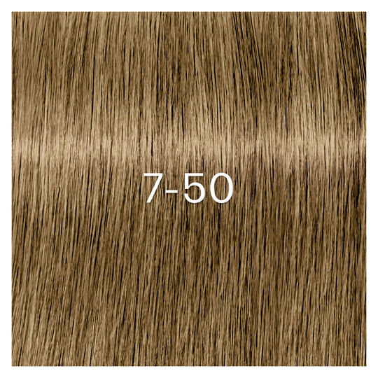 Coloration Igora Zero Amm 7-50 blond cover doré