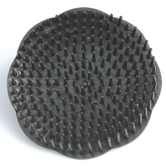 Brosse de massage