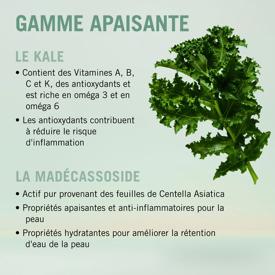 Duo apaisant Bonacure Scalp