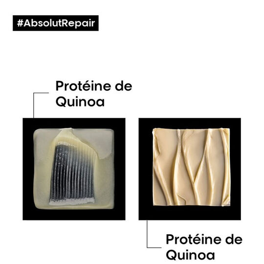 Duo rituel restructurant intense Absolut Repair