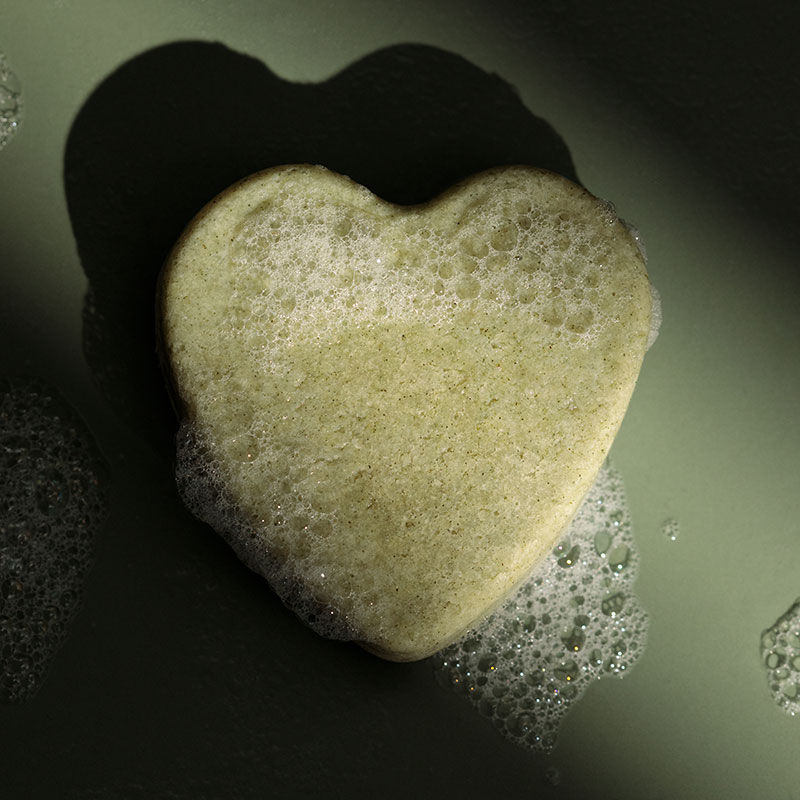 Shampooing solide purifiant &agrave; l'ortie piquante